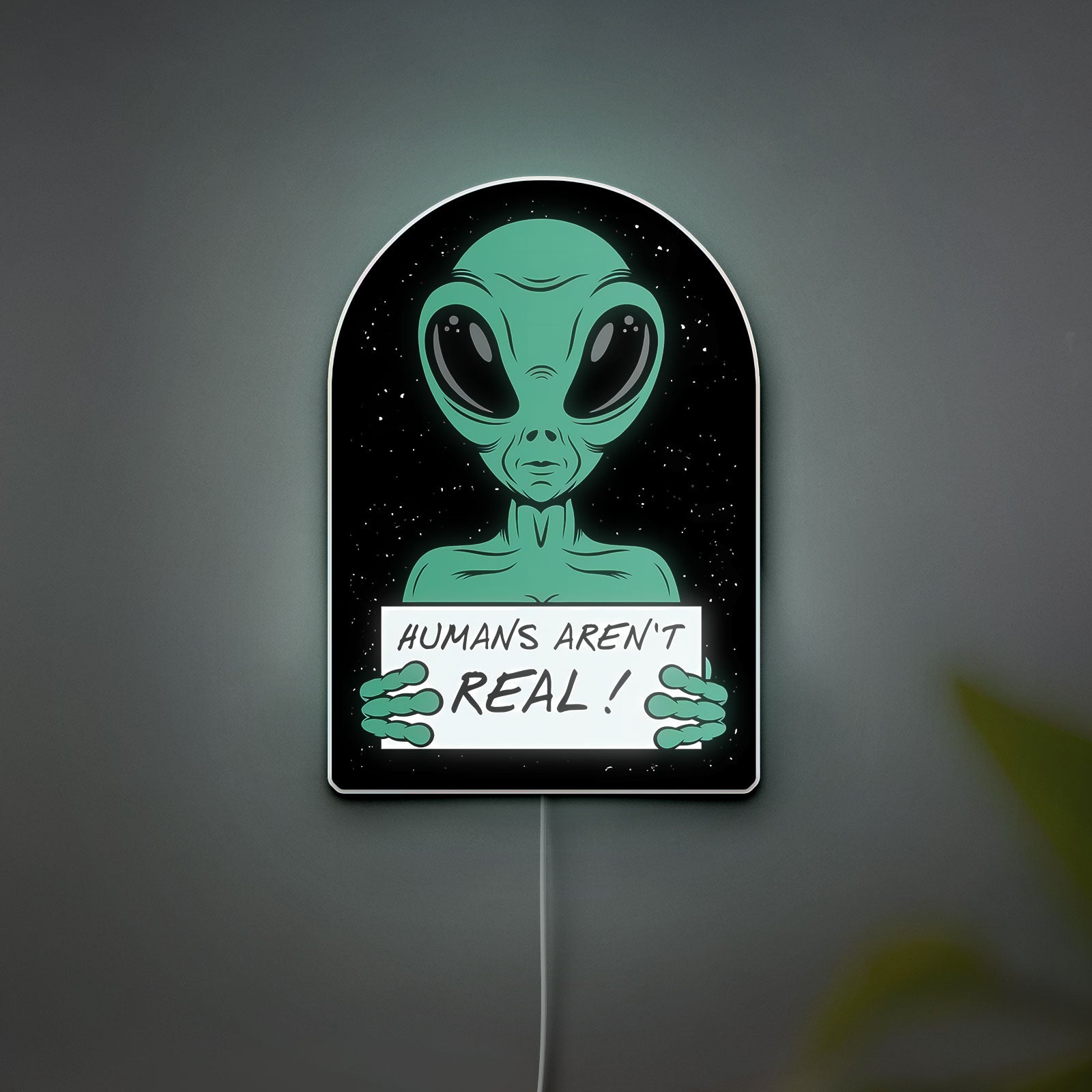 Humans Are Not Real Alien Glow Sign - Funny UFO Meme Night Light, Sci-Fi Room Decor, Novelty LED Lamp for Galaxy & Spaceship Lovers
