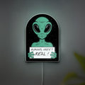Humans Are Not Real Alien Glow Sign - Funny UFO Meme Night Light, Sci-Fi Room Decor, Novelty LED Lamp for Galaxy & Spaceship Lovers
