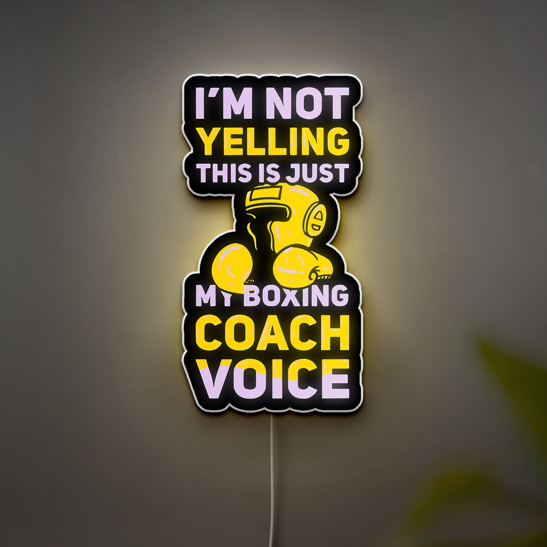 Boxing Coach 3D Light Box - "I'm Not Yelling" Funny LED Night Light, Gym Motivational Decor for Fighters & Trainers
