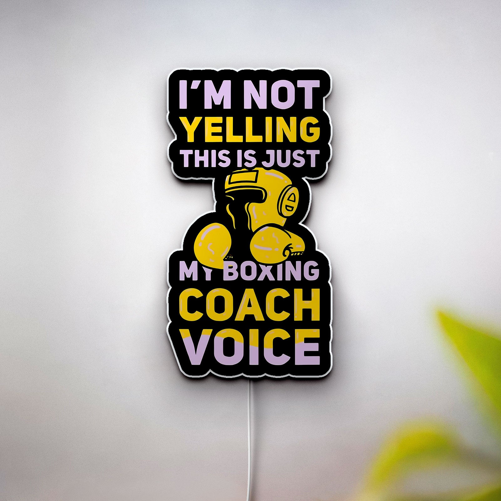 Boxing Coach 3D Light Box - "I'm Not Yelling" Funny LED Night Light, Gym Motivational Decor for Fighters & Trainers
