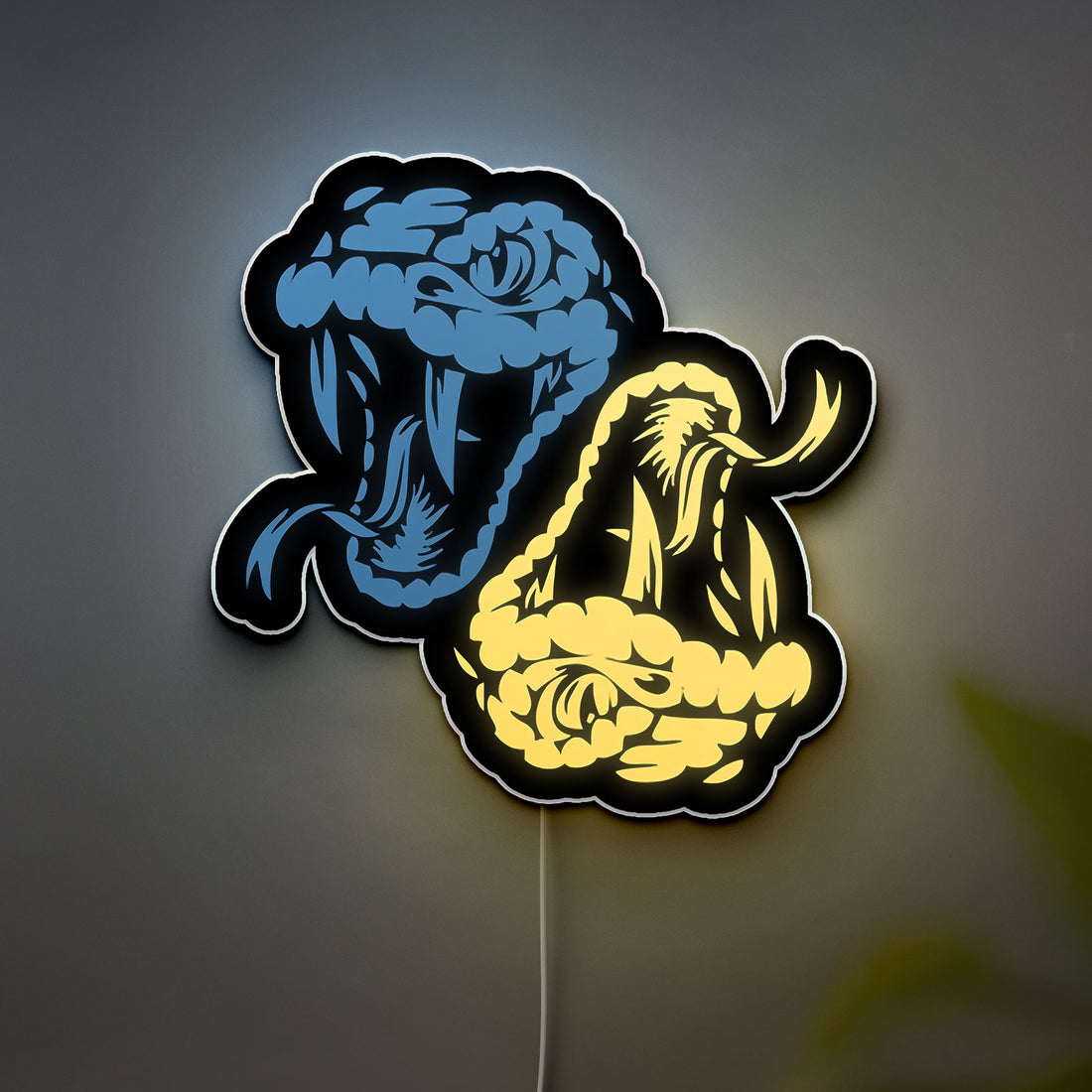 Python Programming 3D Light Box - Wild Nature Inspired LED Night Light, Unique Coding & Tech Themed Decor for Computer Nerds & Gamers
