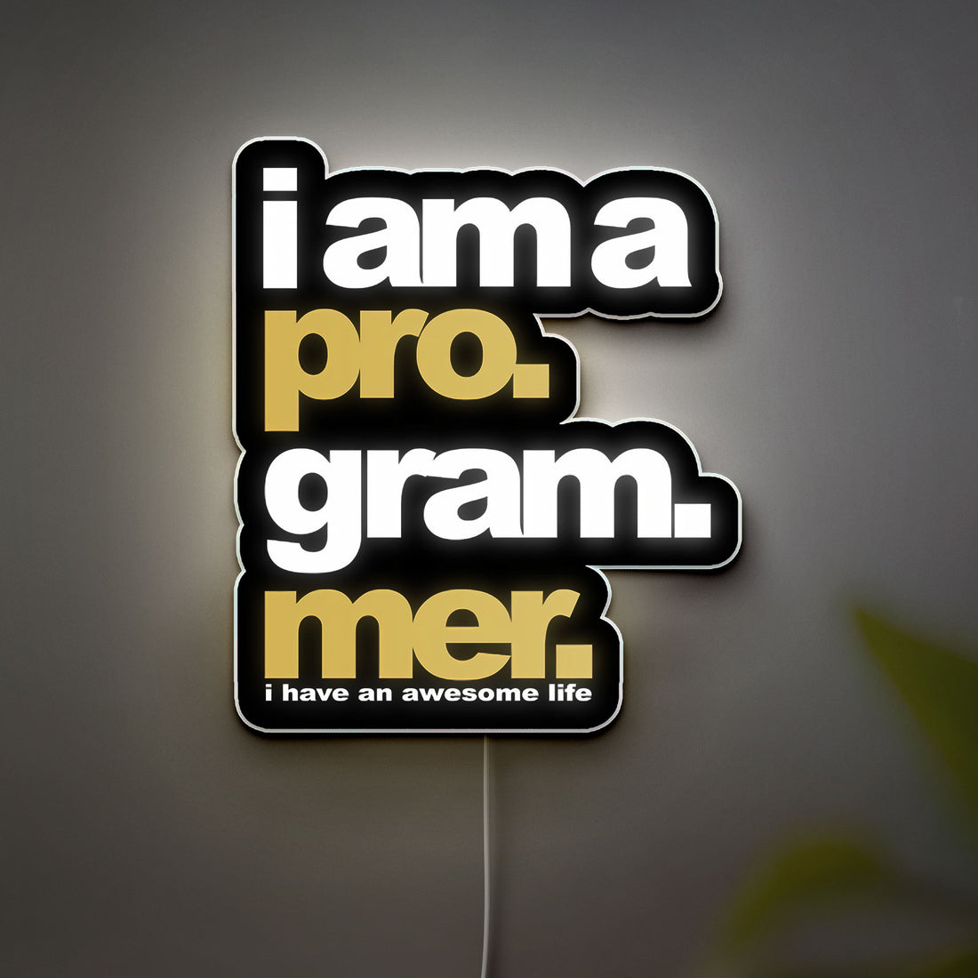 Programmer 3D Light Box - Coding & Tech Themed LED Night Light, Geek Wall Decor for Developers & Gamers
