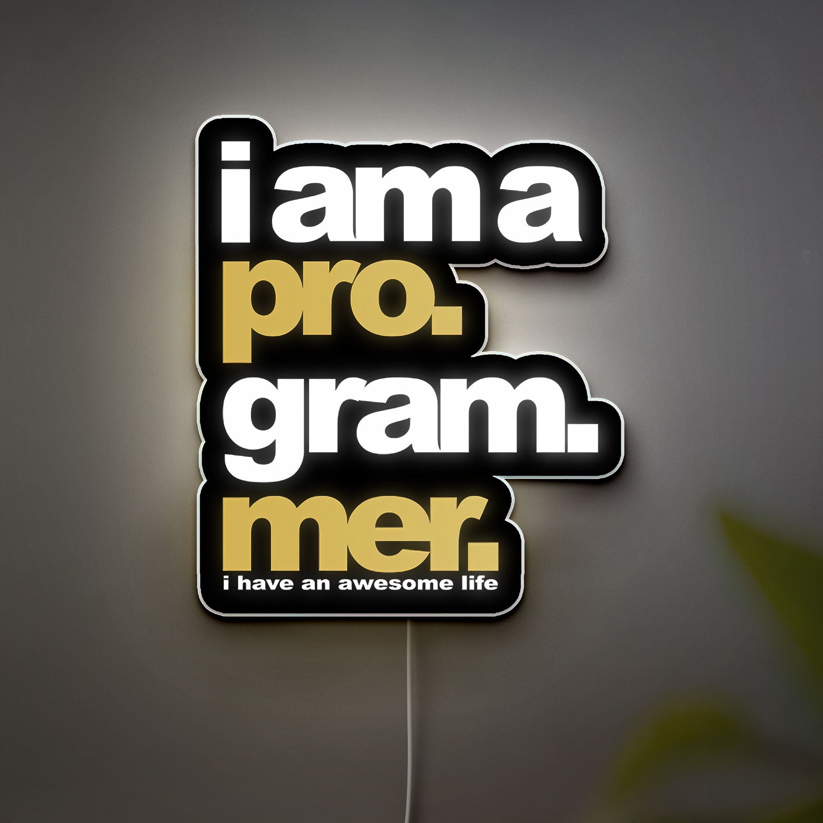 Programmer 3D Light Box - Coding & Tech Themed LED Night Light, Geek Wall Decor for Developers & Gamers
