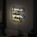 Programmer 3D Light Box - Coding & Tech Themed LED Night Light, Geek Wall Decor for Developers & Gamers
