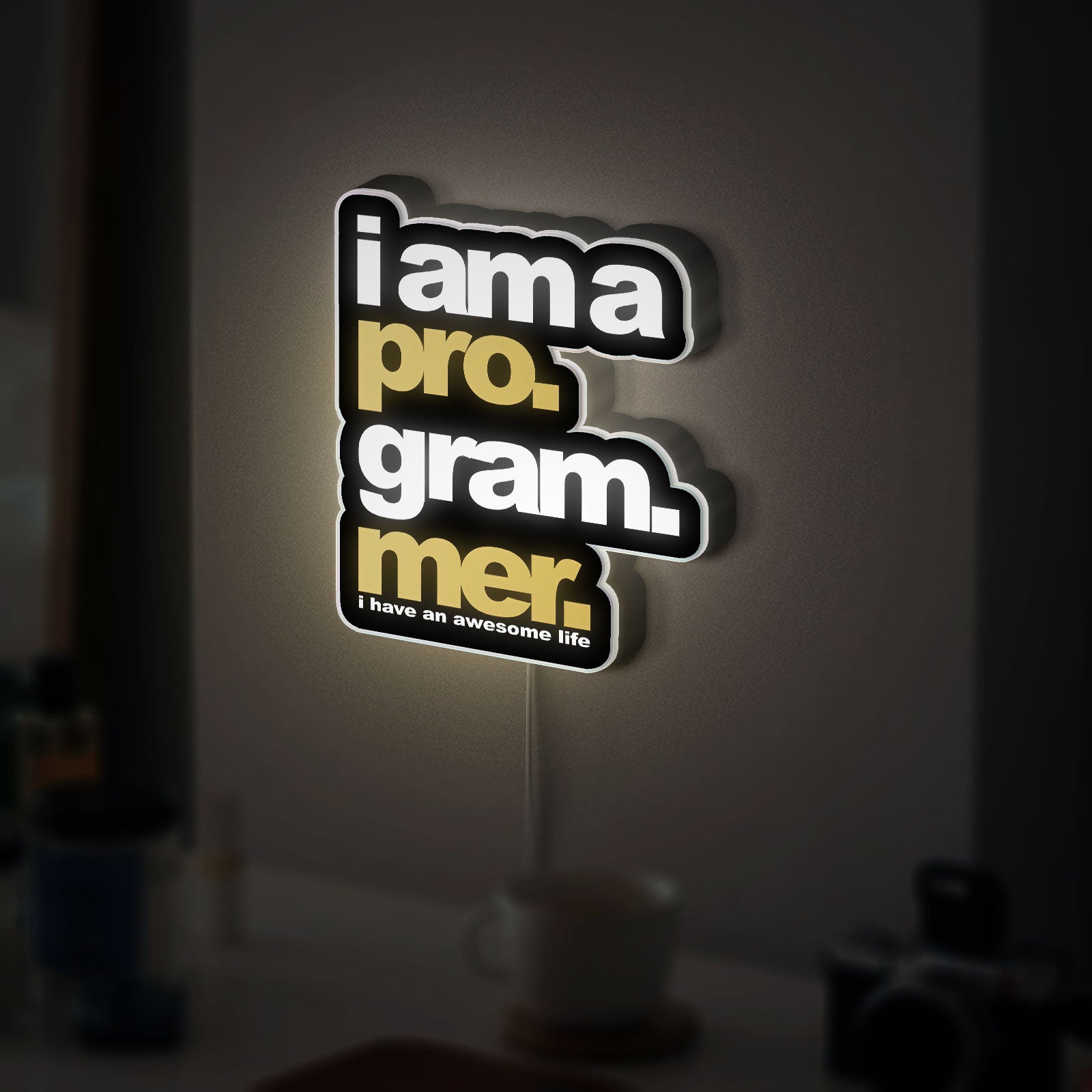 Programmer 3D Light Box - Coding & Tech Themed LED Night Light, Geek Wall Decor for Developers & Gamers
