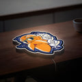 Master Roshi 3D Light Box - Dragon Ball Z LED Night Light, Anime Character Decor for Fans, Cool Manga Themed Gift 