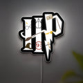 Harry Potter 3D Light Box - Hogwarts Castle LED Night Light, Magical Decor for Potterheads, Wizarding World Gift for Fans 
