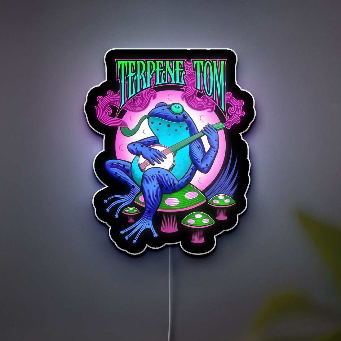 Psychedelic Frog 3D Light Box - Trippy LED Night Light, Vibrant Wall Decor for Music & Art Lovers, Unique Gift for Hippie Aesthetic 