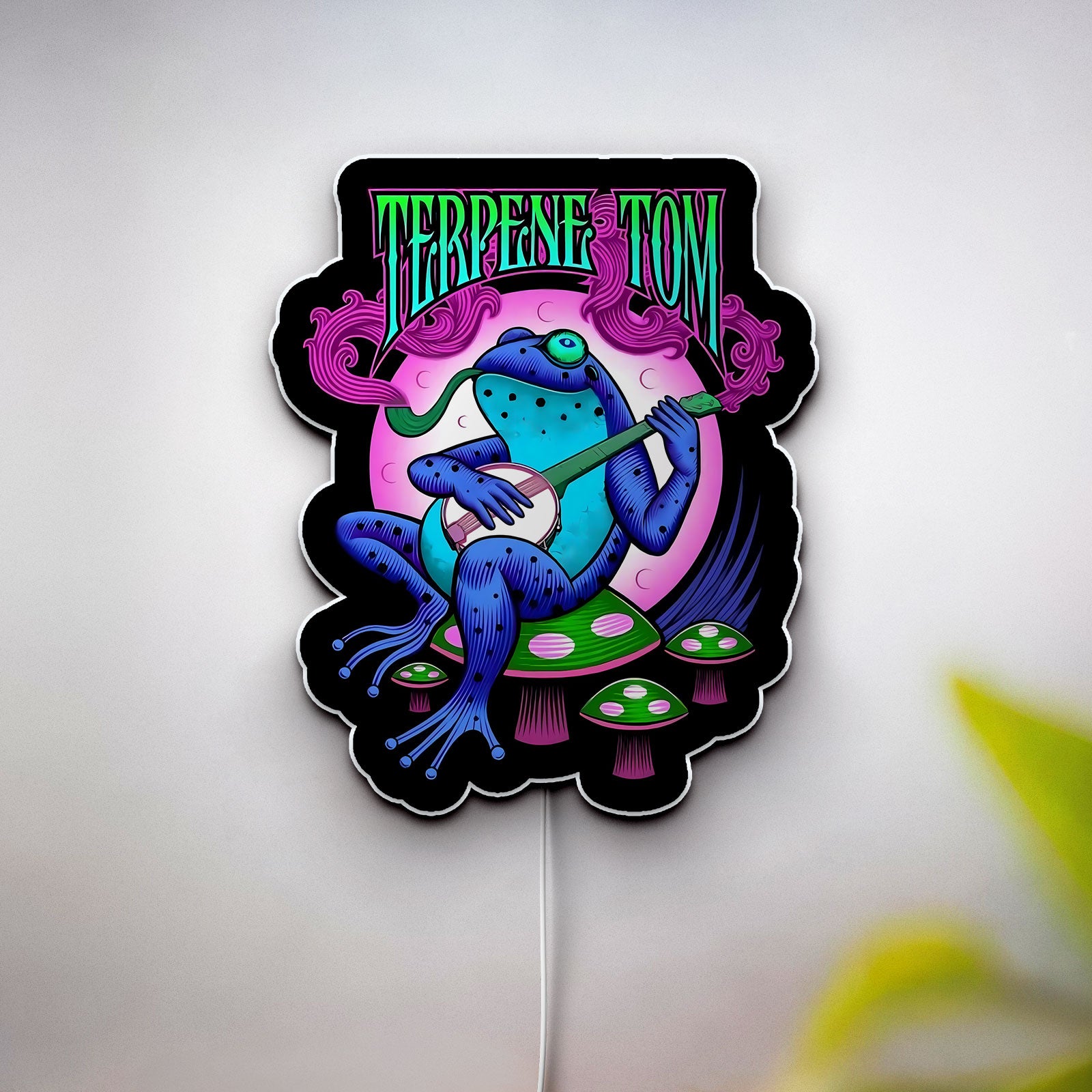 Psychedelic Frog 3D Light Box - Trippy LED Night Light, Vibrant Wall Decor for Music & Art Lovers, Unique Gift for Hippie Aesthetic 