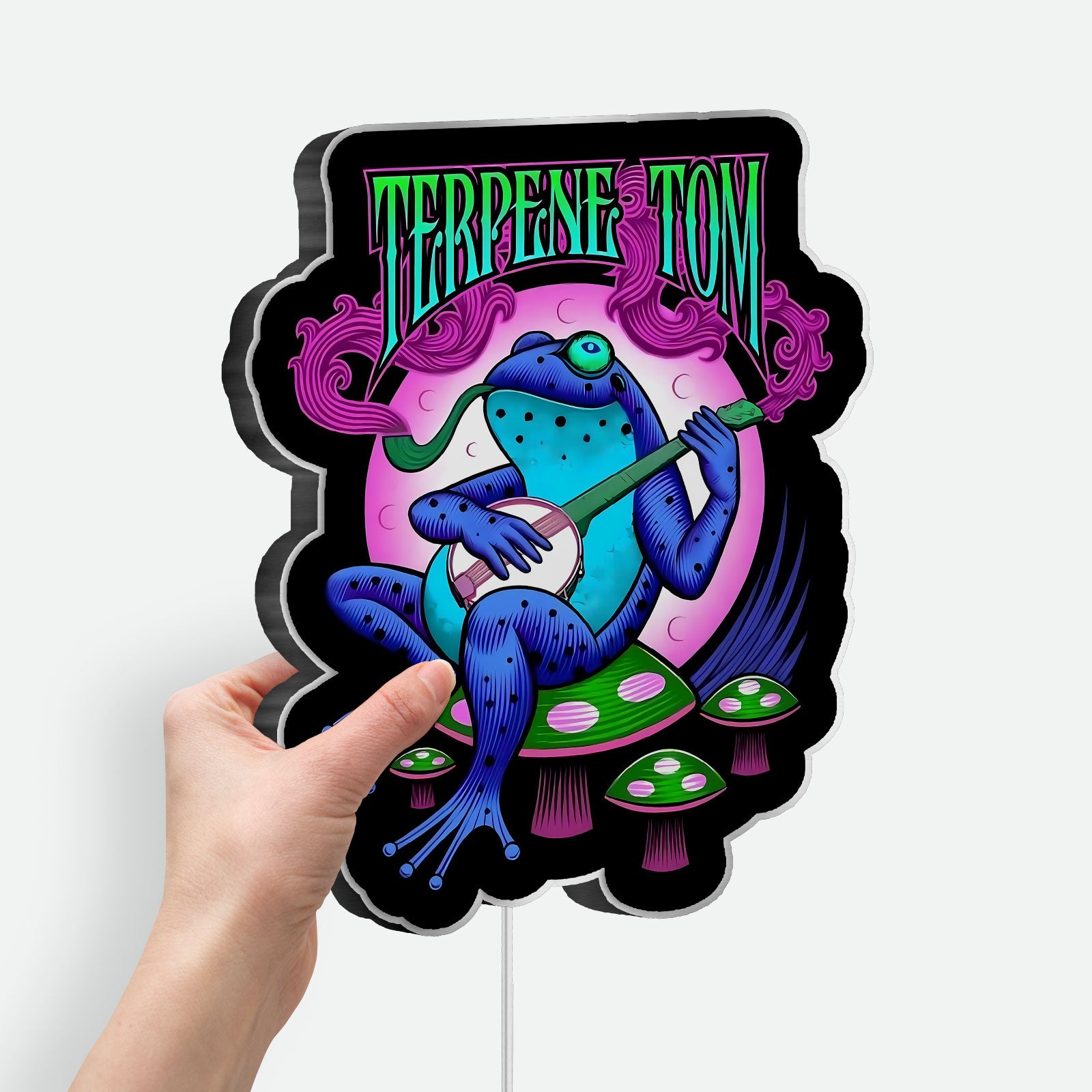 Psychedelic Frog 3D Light Box - Trippy LED Night Light, Vibrant Wall Decor for Music & Art Lovers, Unique Gift for Hippie Aesthetic 
