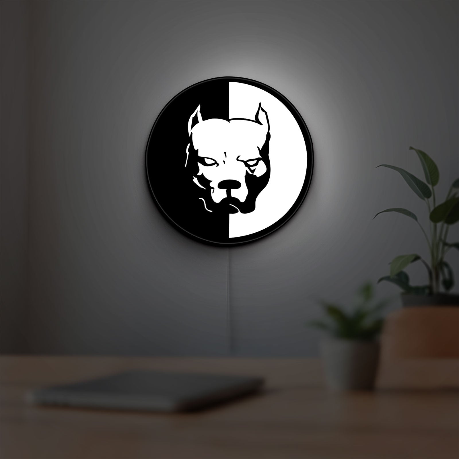 Pitbull Syndicate LED lightbox hanging on a room wall with soft white light