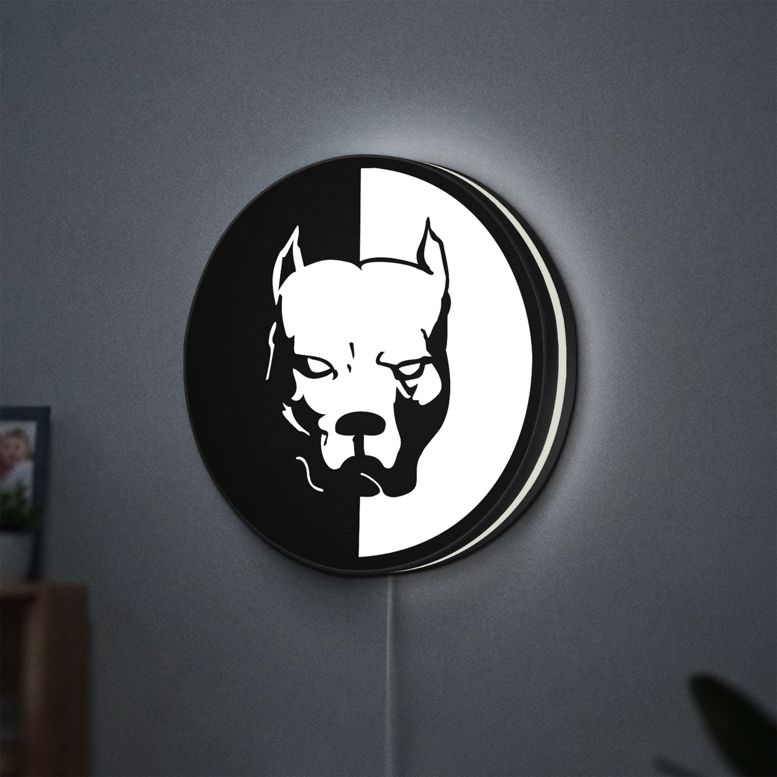 Pitbull Syndicate LED lightbox hanging on a wall with white glow
