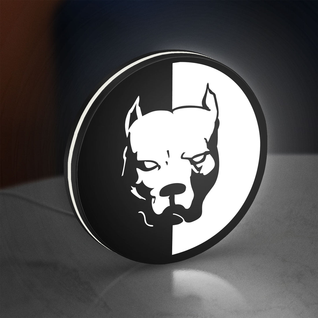 Pitbull Syndicate LED lightbox hanging on a wall with white glow