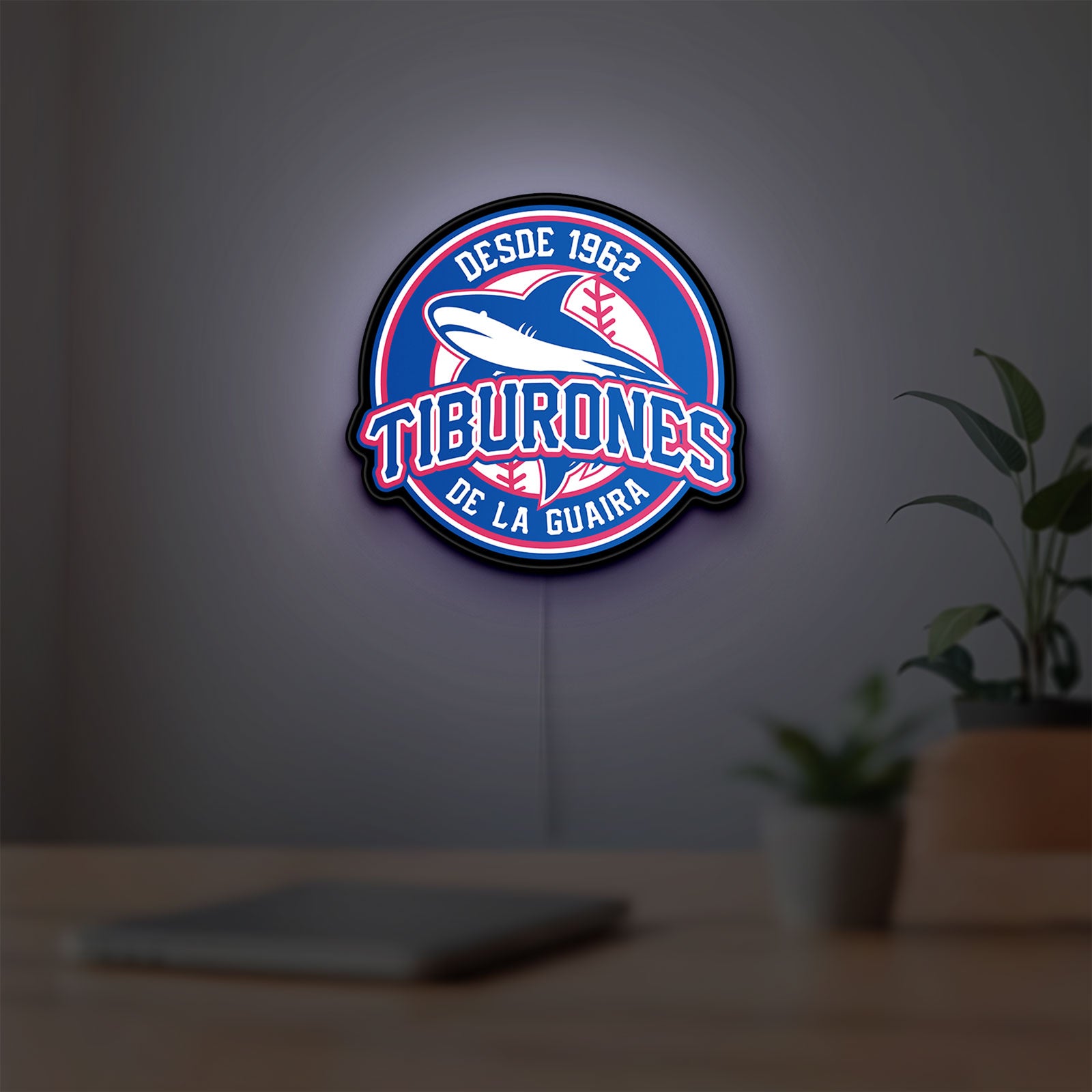Tiburones De La Guaira LED lightbox hanging on a room wall with soft blue light