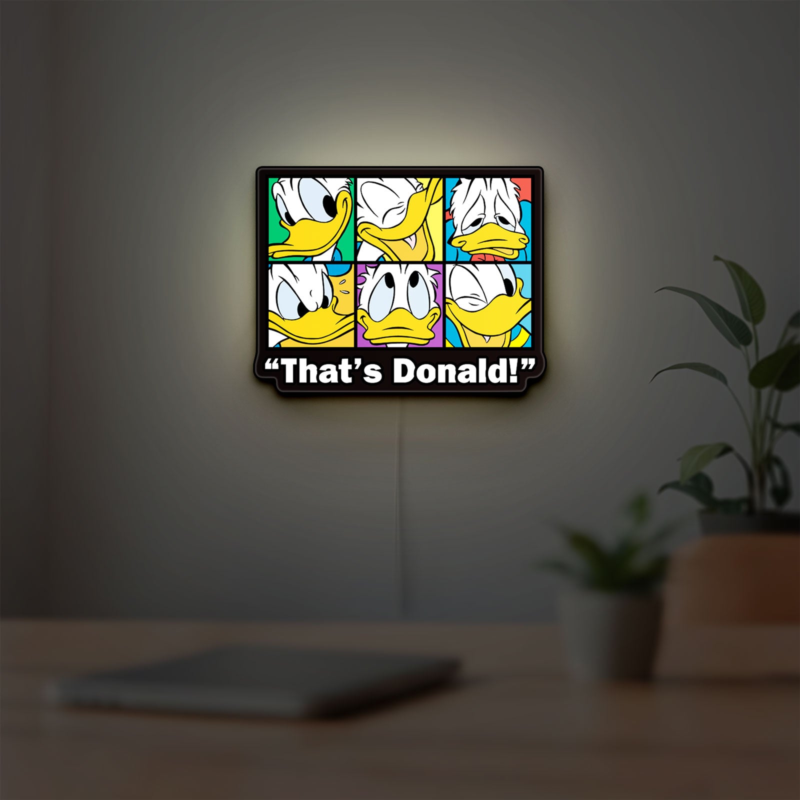 That's Donald LED lightbox hanging on a room wall with soft white light