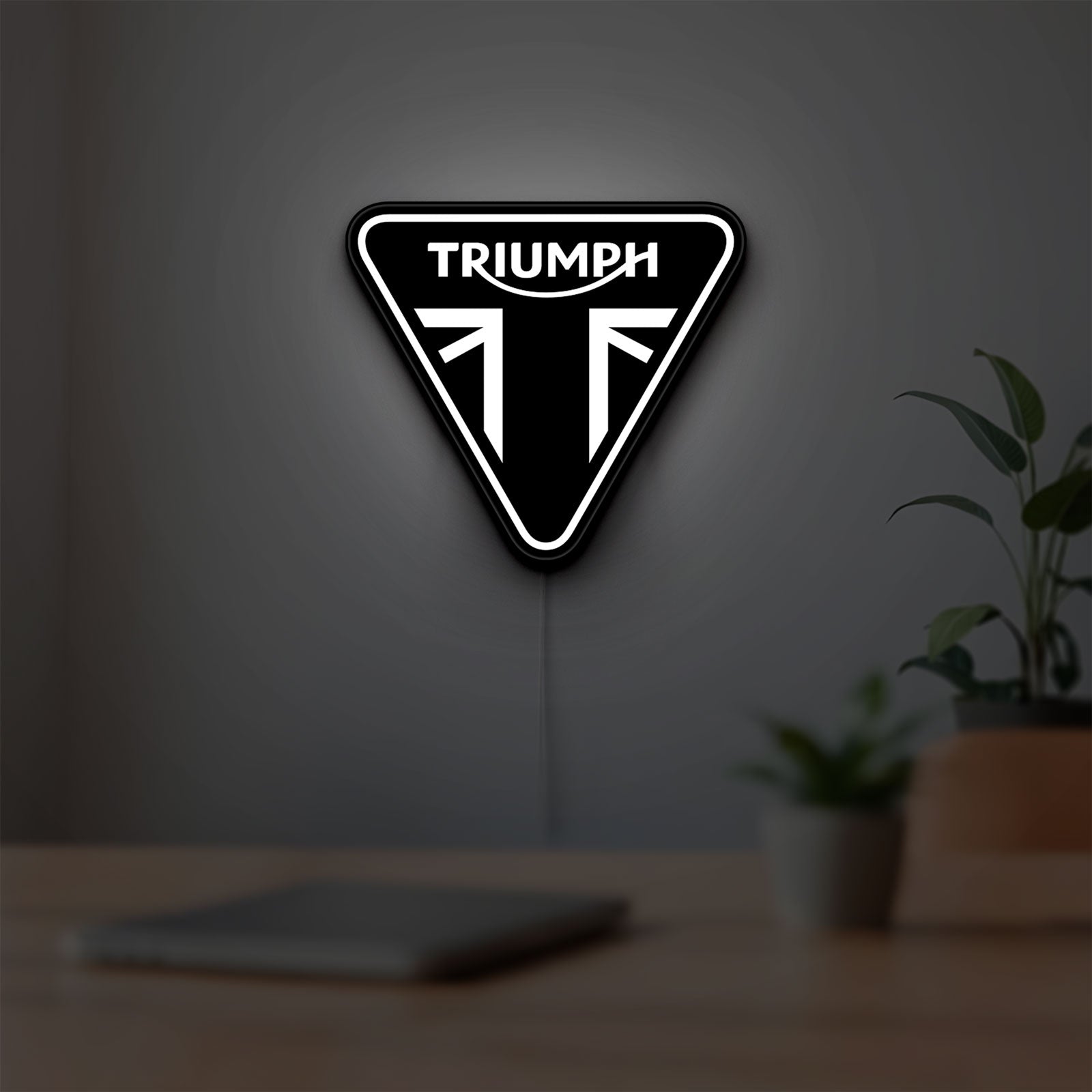 Triumph Motorcycles LED lightbox hanging on a room wall with soft white light