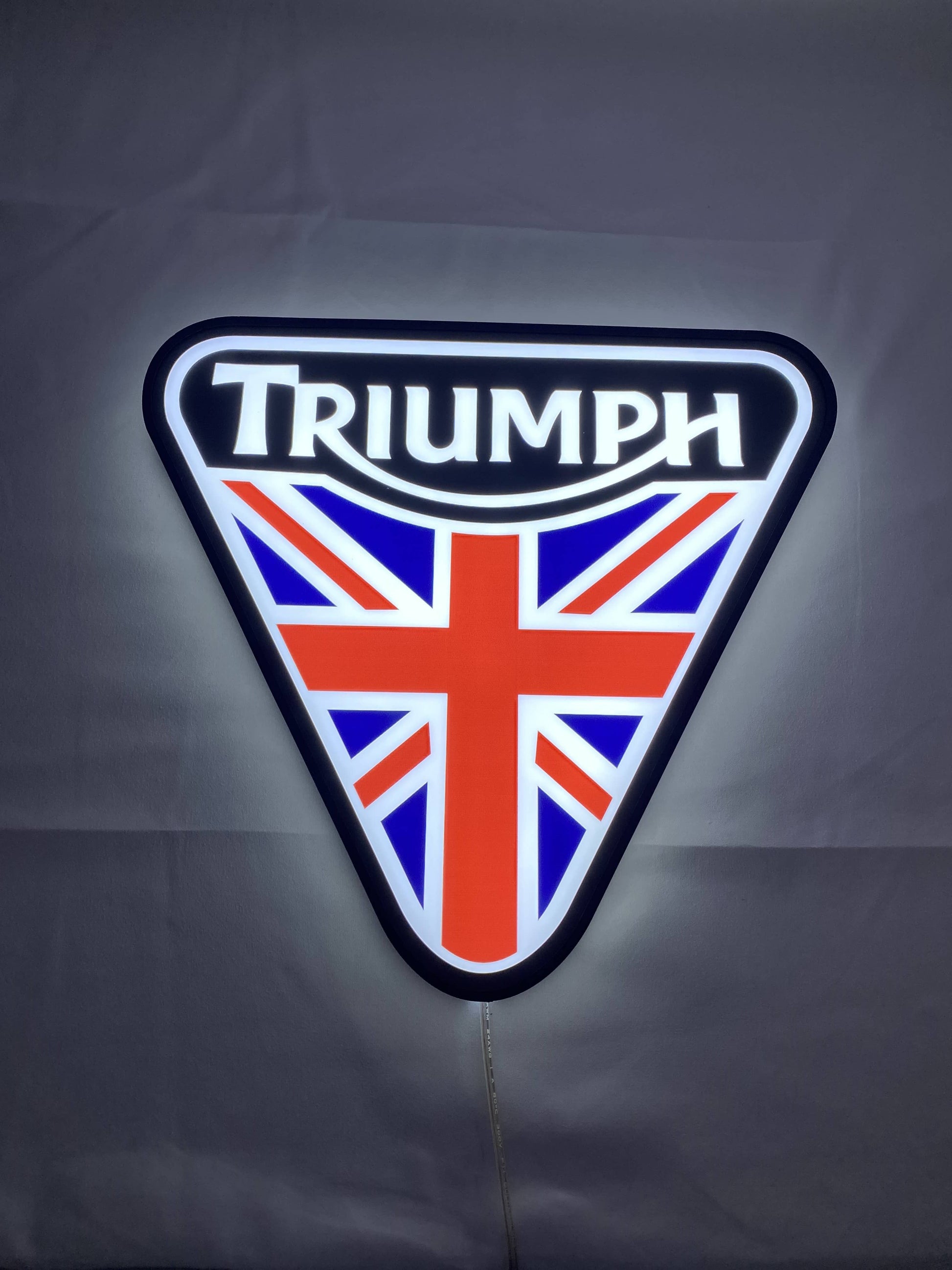 30cm Triumph 3D Printed Sign - Illuminated flat lay front view, unique wall art for desk and room decor