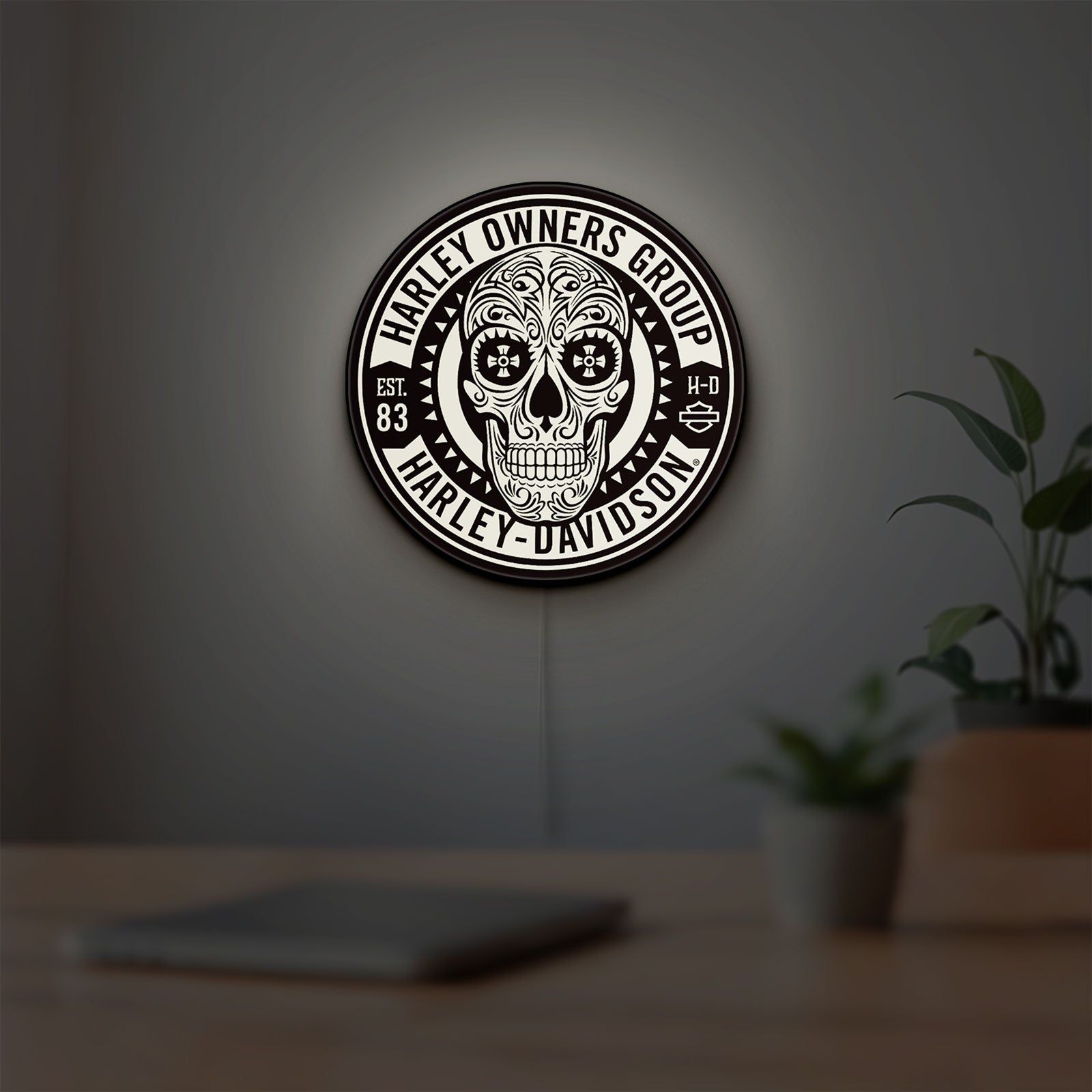 Harley Owners Group LED lightbox hanging on a room wall with soft white light