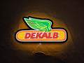 Dekalb LED Sign (30cm) - Illuminated flat lay front view, unique wall art for desk and room decor