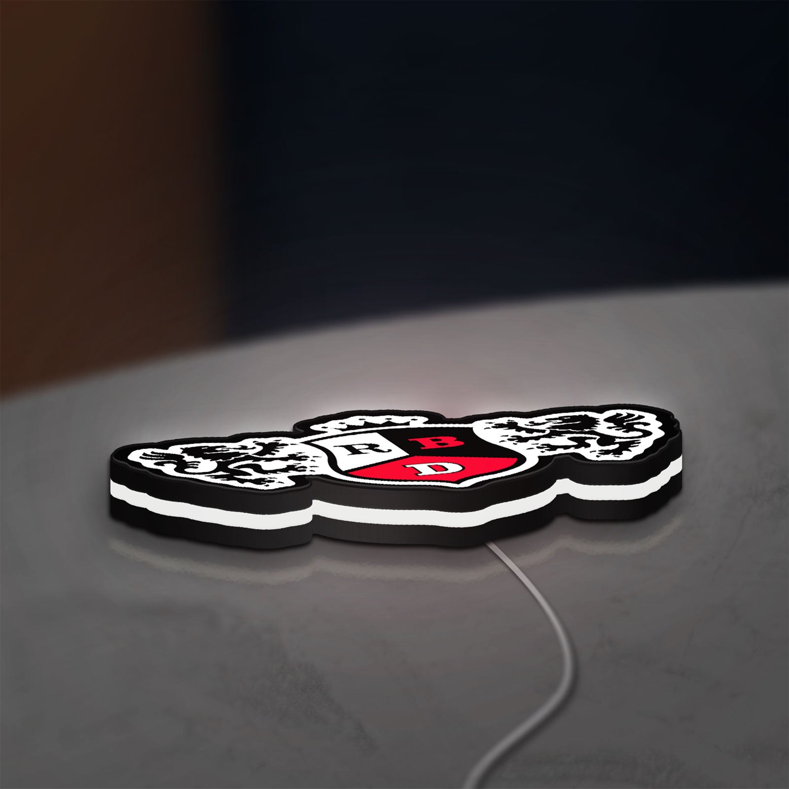 RBD LED lightbox lying flat on a desk with white glow