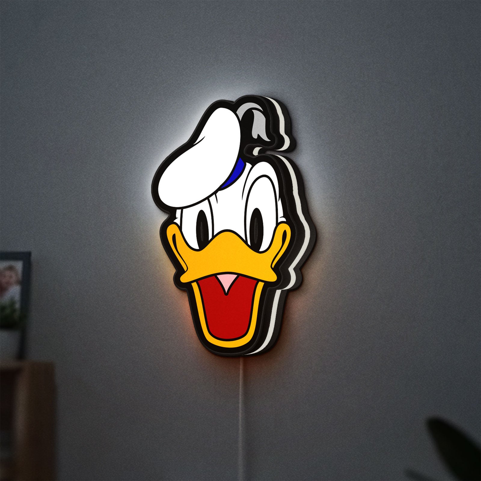 Donald LED lightbox hanging on a wall with white glow