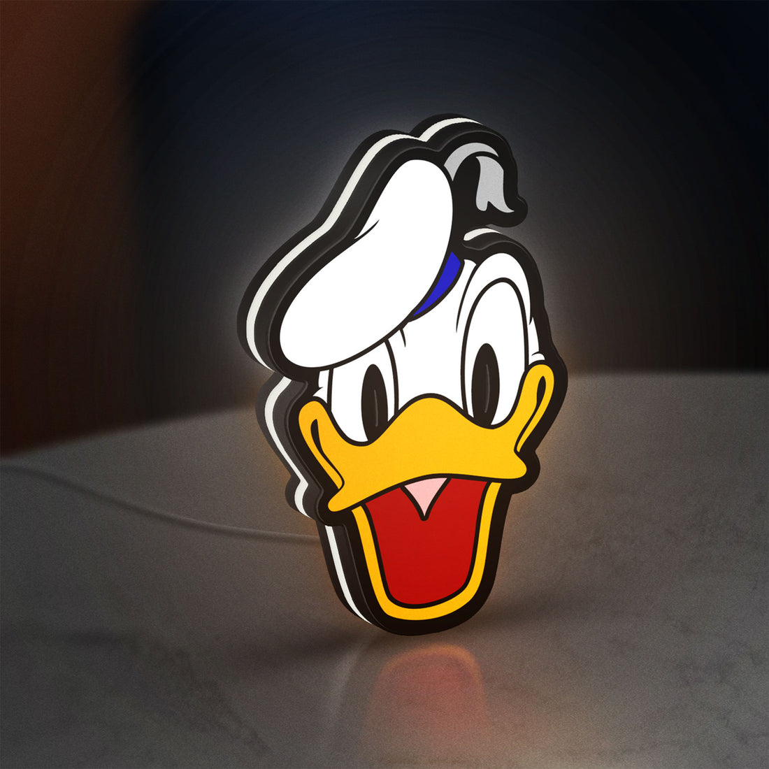 Donald LED lightbox hanging on a wall with white glow