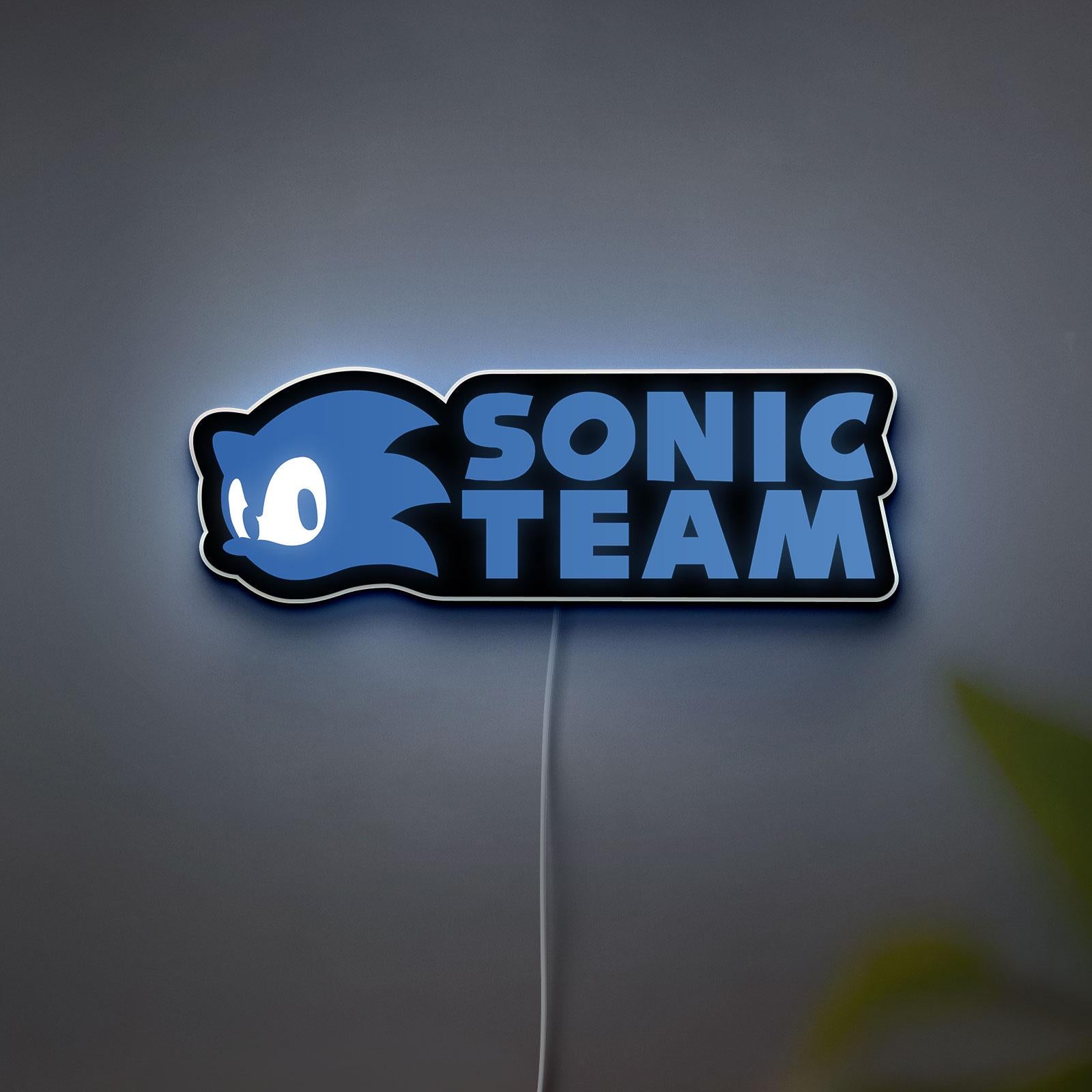 3D printed Sonic Team Sign LED Lamp, Birthday Gift for Sonic Fans, Anime Night Light Decor, Gamer Cave Wall Art, Kid Room Decor