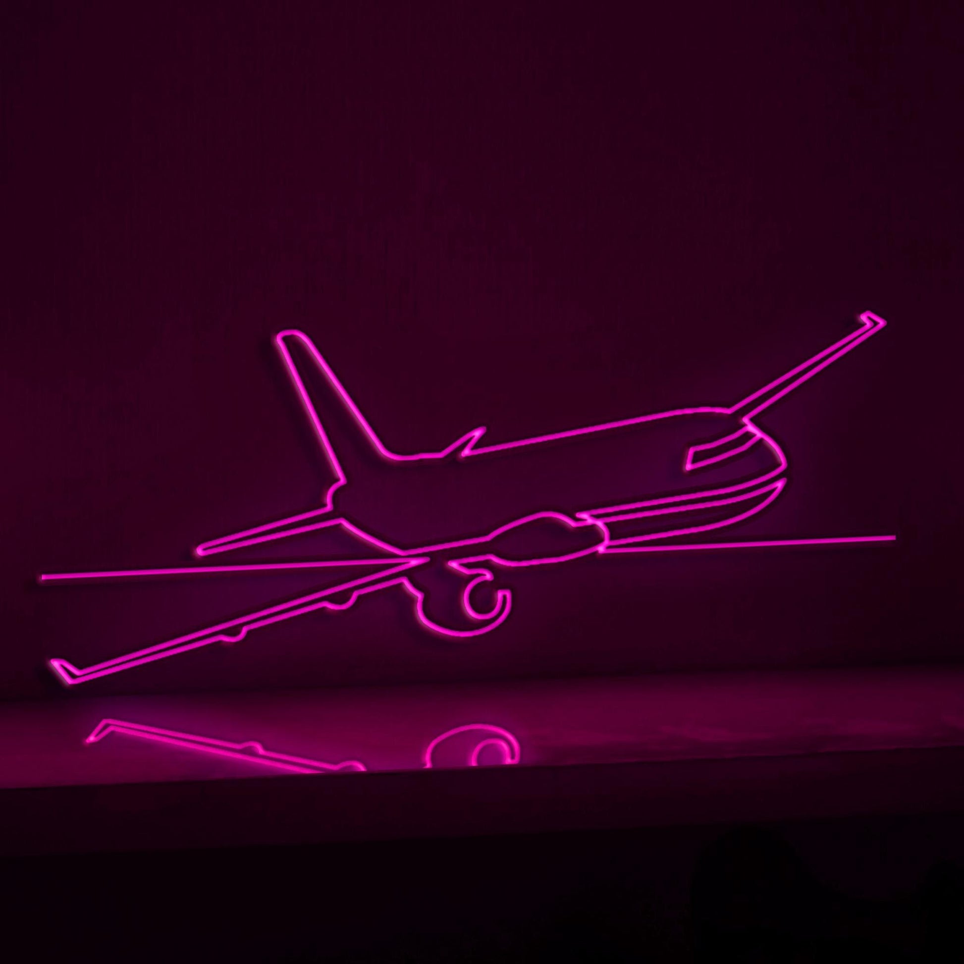 Passenger Airplane Flight Aviation EL Wire Wall Art for Travelers & Flight-Themed Home Decor - myneonup