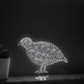 Quail One Line EL Wire Neon Sign - Plain Bird Decor - myneonup