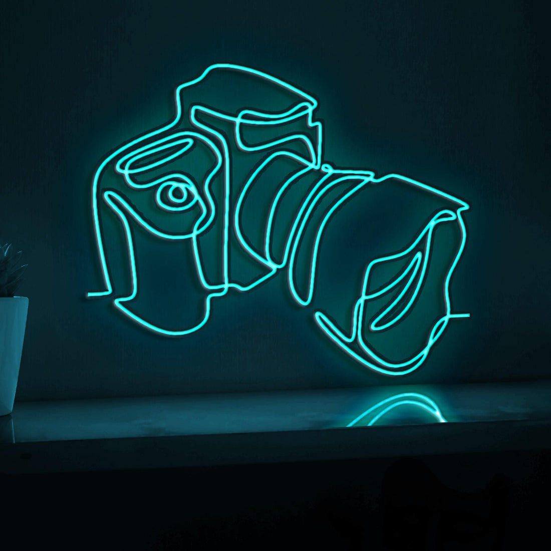 Digital Camera Design Tech EL Wire Wall Art for Photography Studios & Modern Homes - myneonup