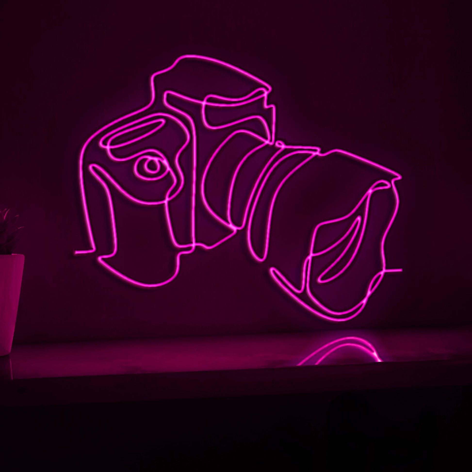 Digital Camera Design Tech EL Wire Wall Art for Photography Studios & Modern Homes - myneonup
