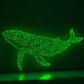 Whale One Line EL Wire Neon Sign - Intelligent Giant Light Decor - myneonup